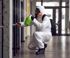 Mold Remediation for Vacation Homes in Henderson, GA